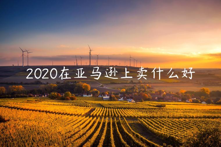 2020在亞馬遜上賣什么好